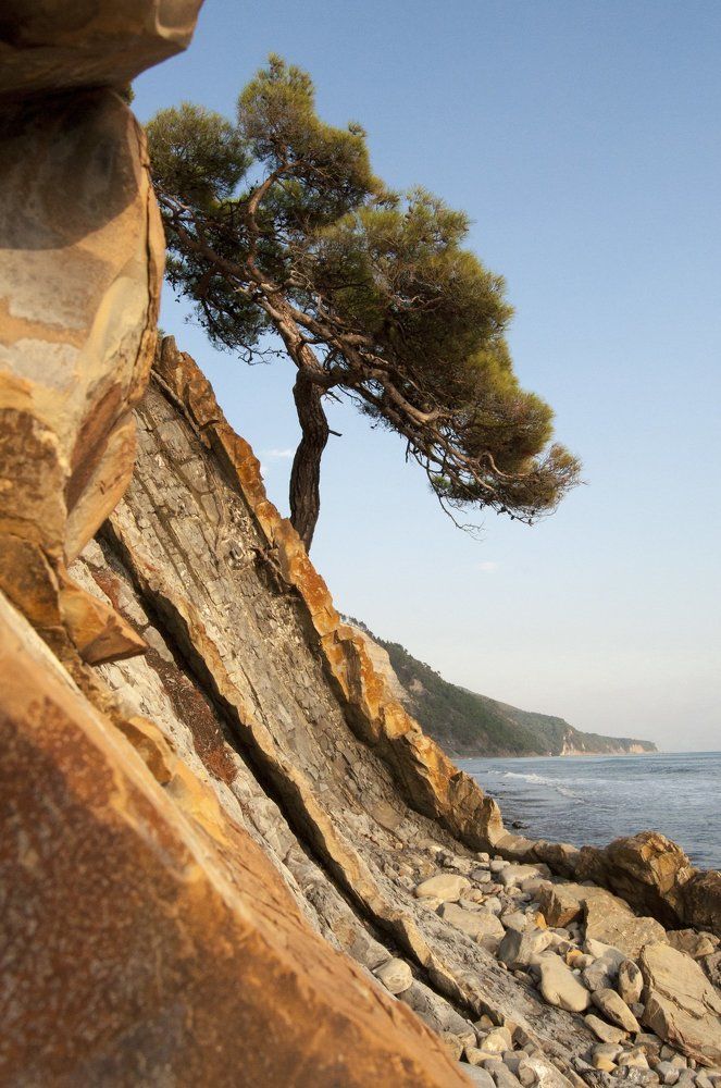 Скалистые берега