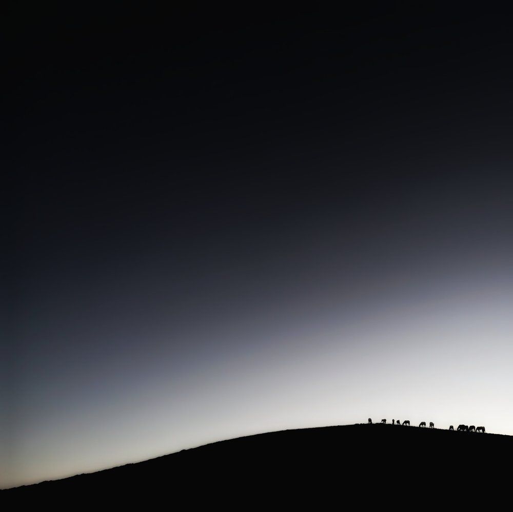 Photograph by Павел Орлов