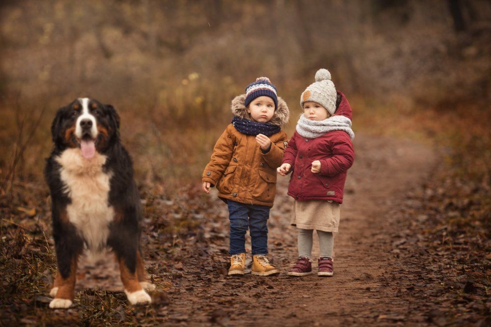 Photograph by Новицкая Татьяна