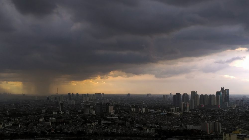 Between Light & Vortex