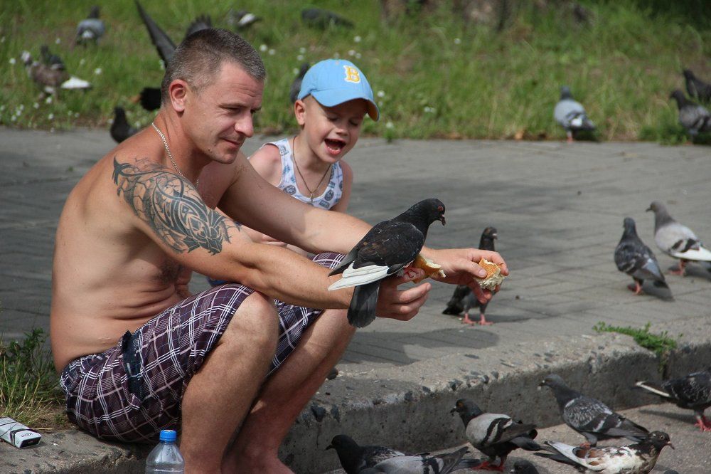 Городская птица счастья / City happiness bird
