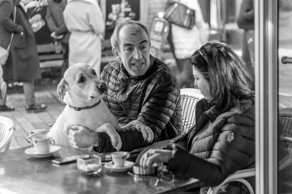 Интересный собеседник