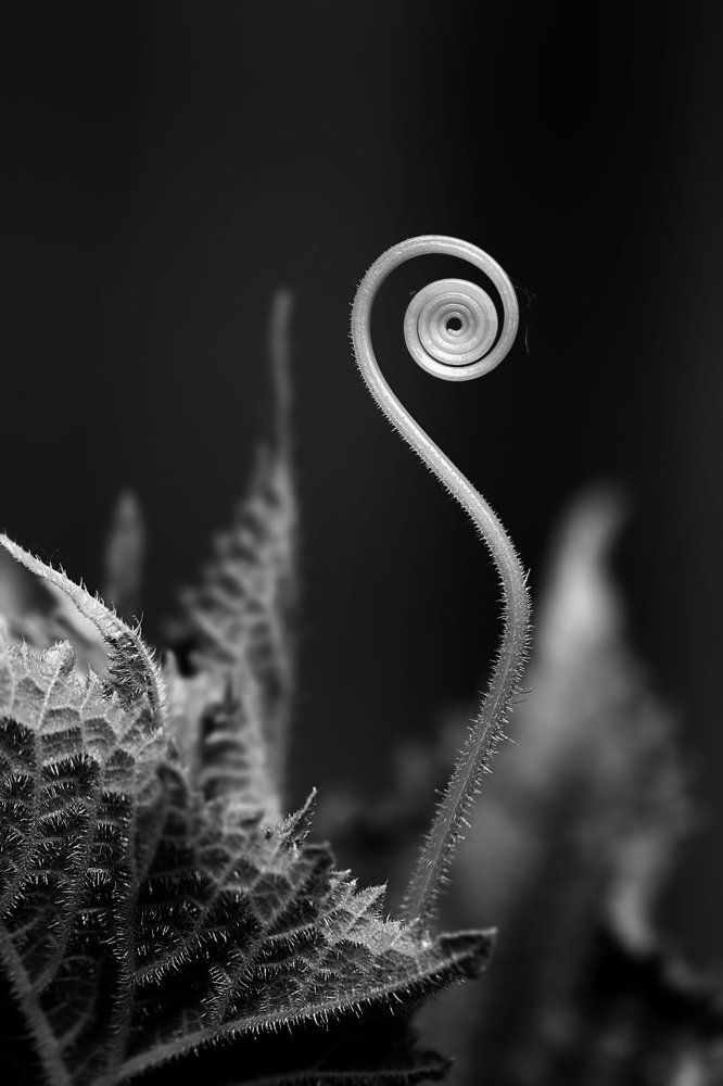 Монстр в темноте...