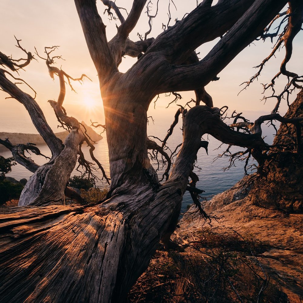 Место, где живут драконы