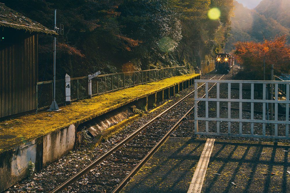 Photograph by Anna Markova