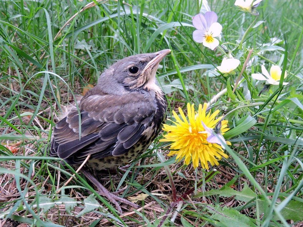 *Я кажется заблудился*