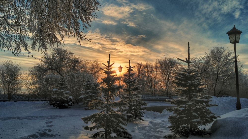 Зимнее утро