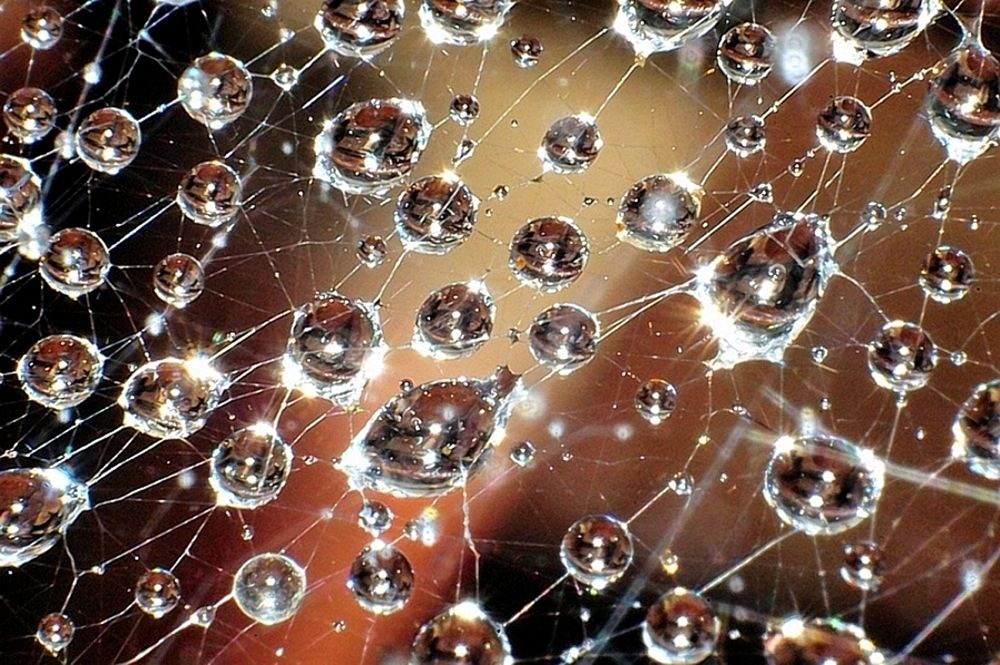 Парад планет...