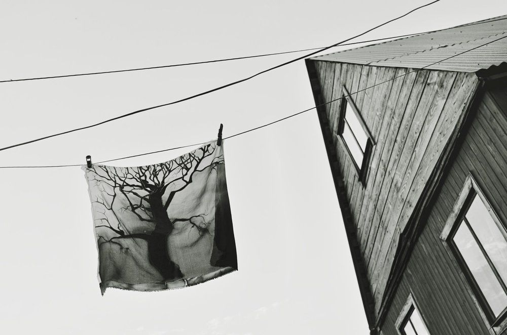 Photograph by Anna Saltykowa