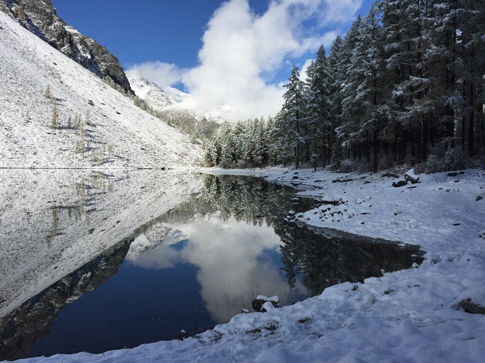 Первый снег