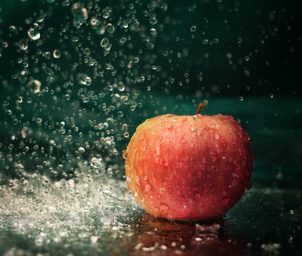 Во время дождя