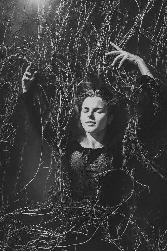 Photograph by Lulubell