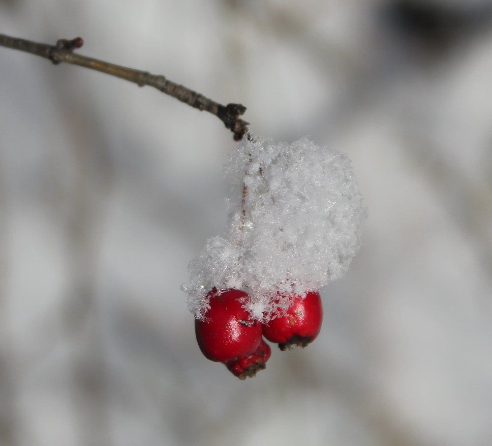 зимнее настроение