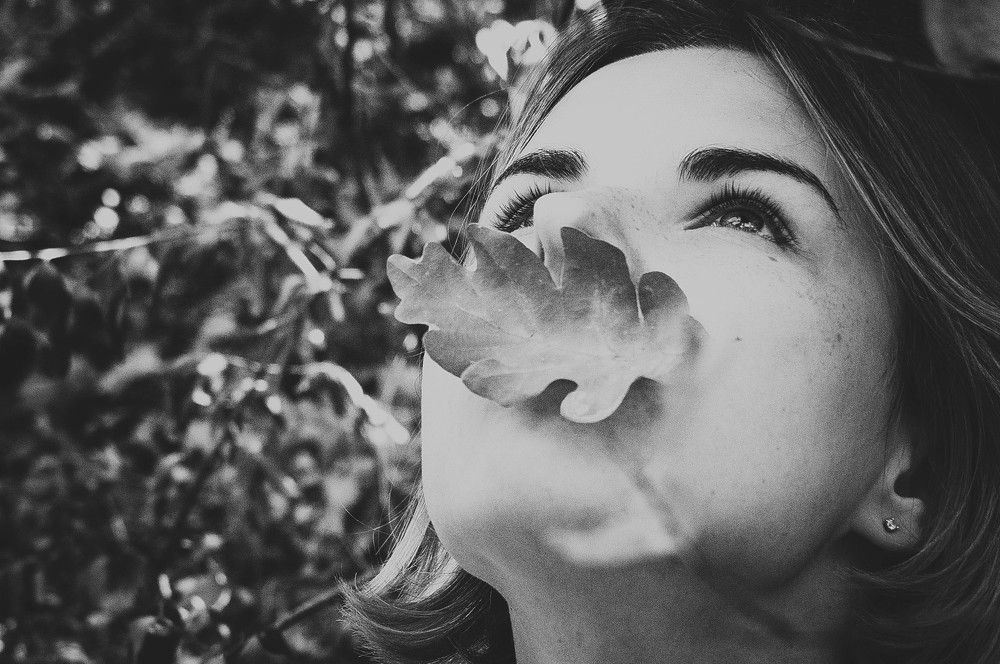 Photograph by Lulubell