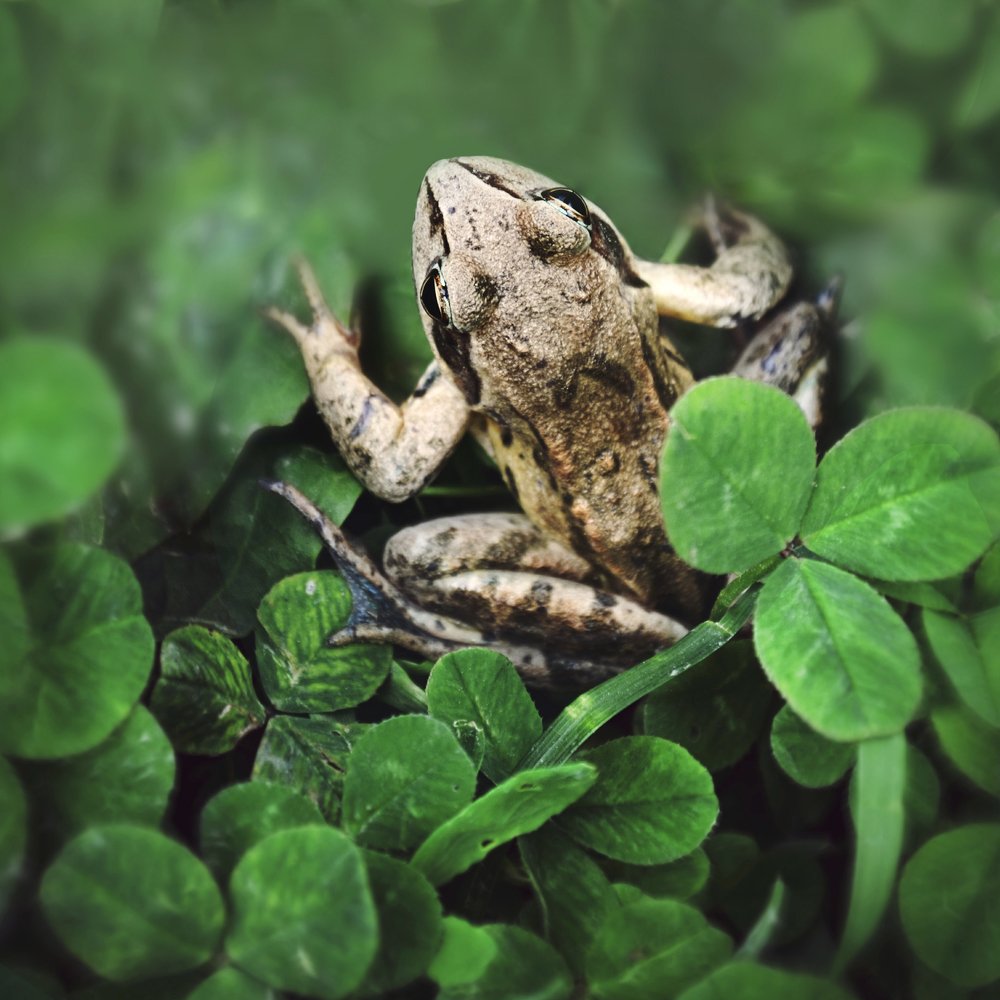 Photograph by Anna Saltykowa