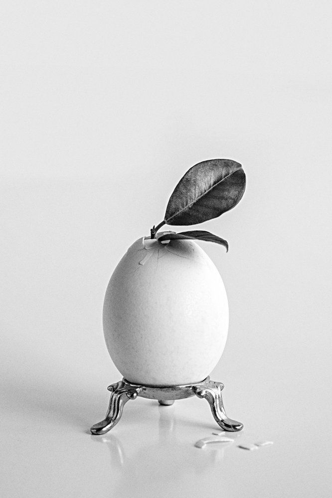 Начало жизни.