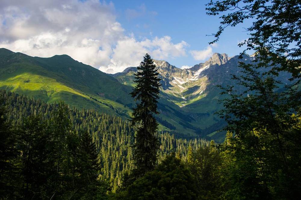 "Наедине с природой"