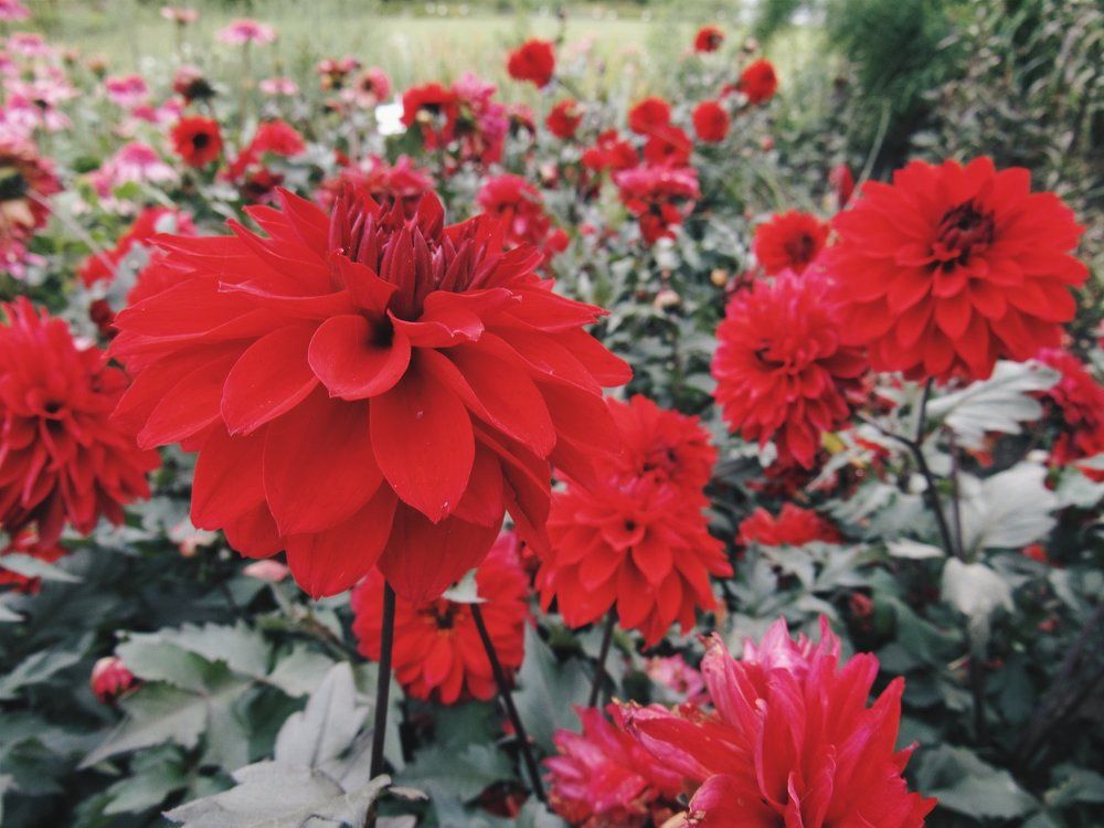 Photograph by Карина Хаустова