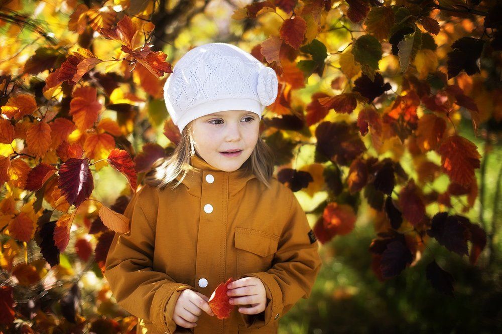 красочная осень