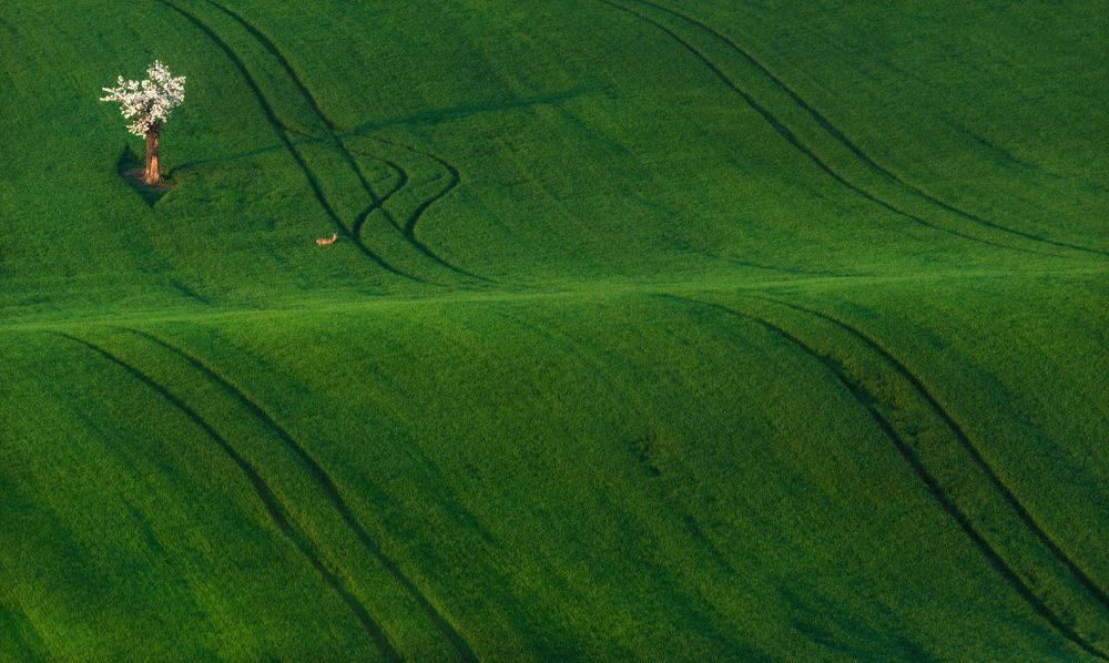 Состояние весны ..