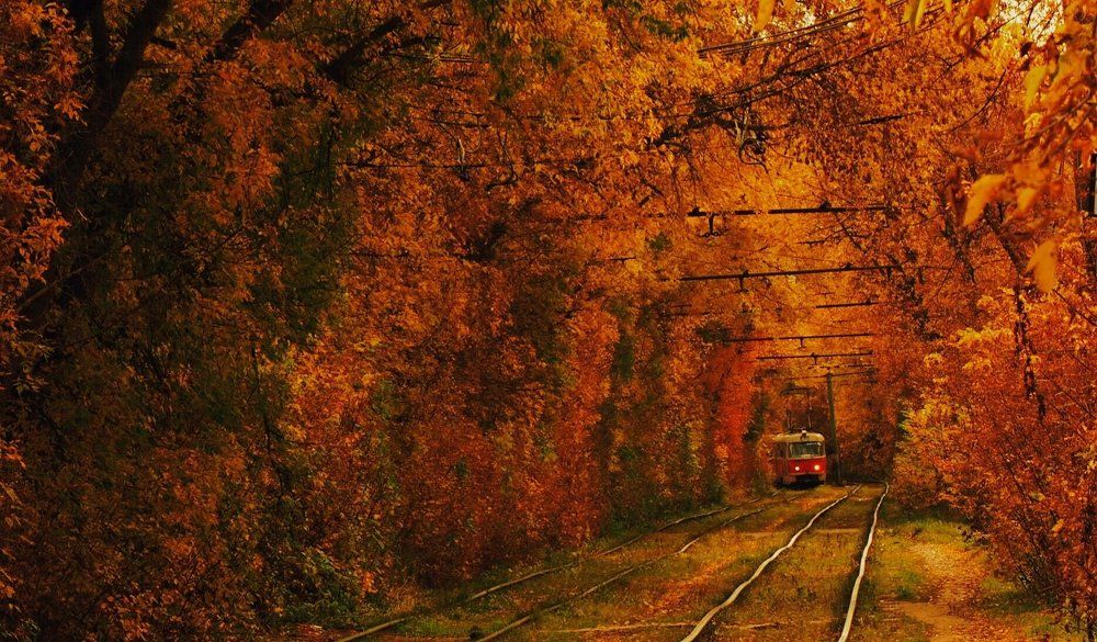 Нижегородский трамвайчик