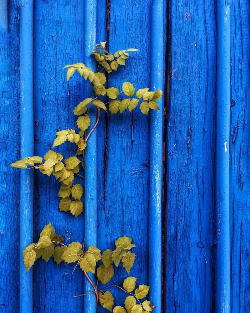 Прекрасное рядом