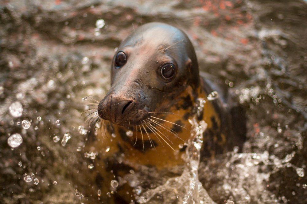 Photograph by Антон