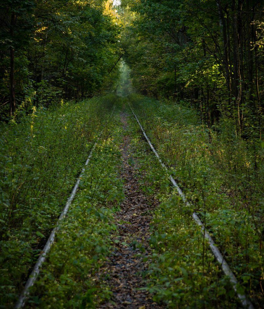 Затерянные пути