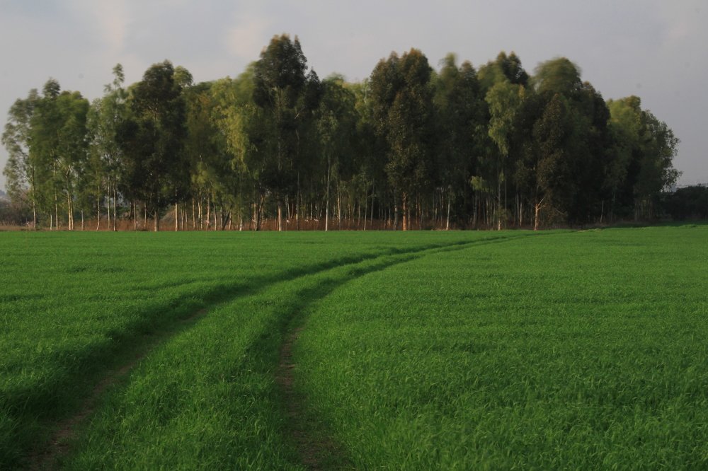 Январьские будни