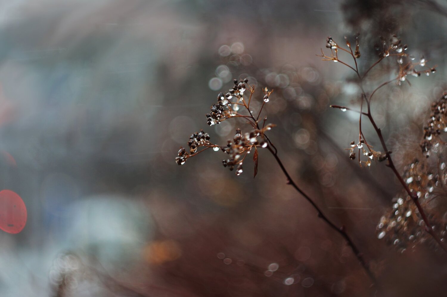Photo #2147349