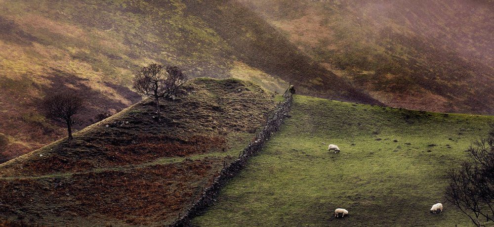 ...зеленые холмы