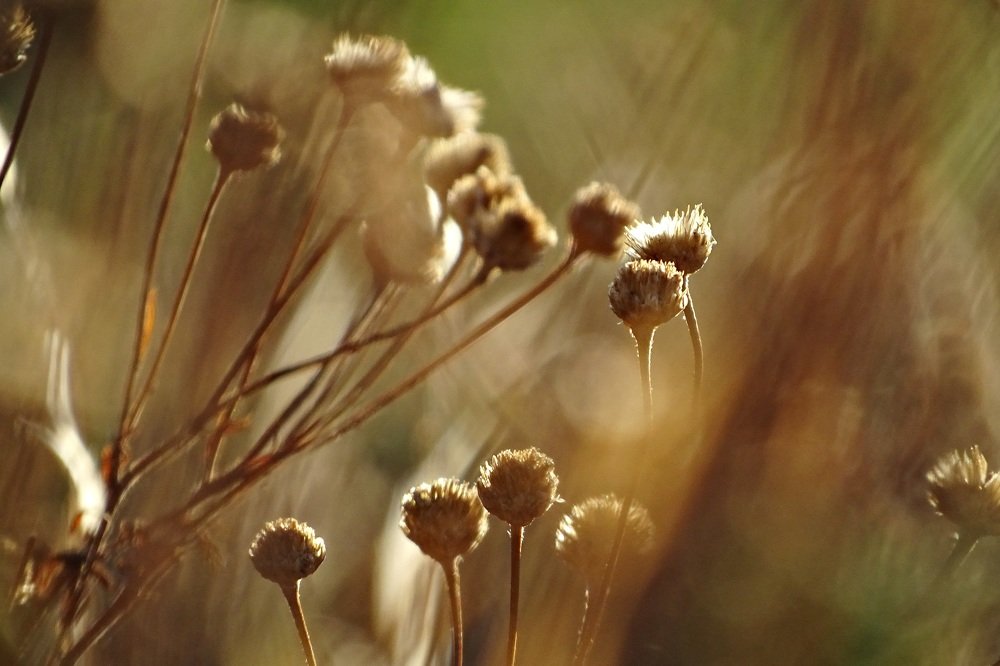 Photograph by Людмила