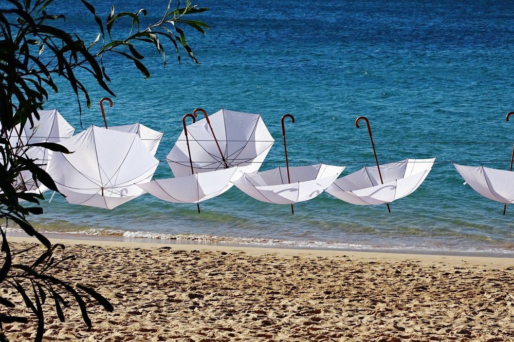 Photograph by Людмила