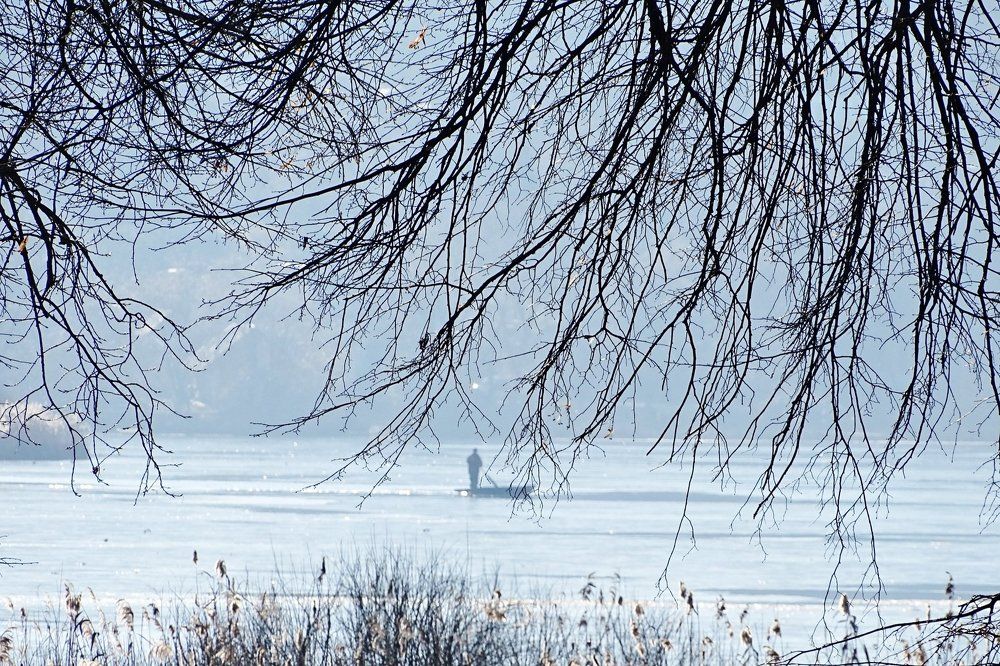 Photograph by Людмила