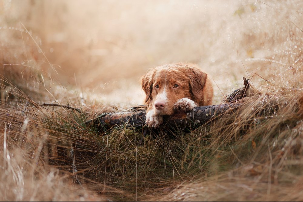 После дождя