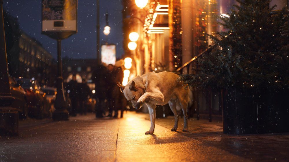 одиночество