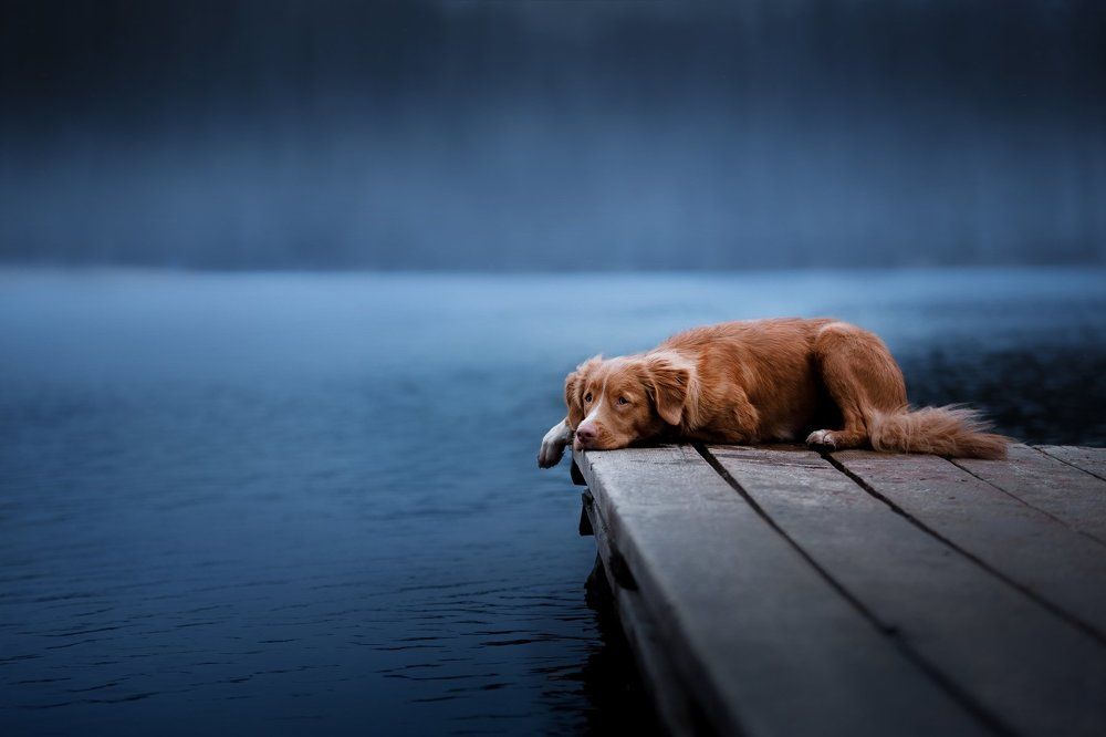 Photograph by Анна Аверьянова