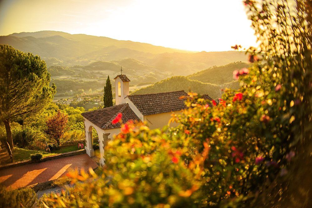 Photograph by Новицкая Татьяна