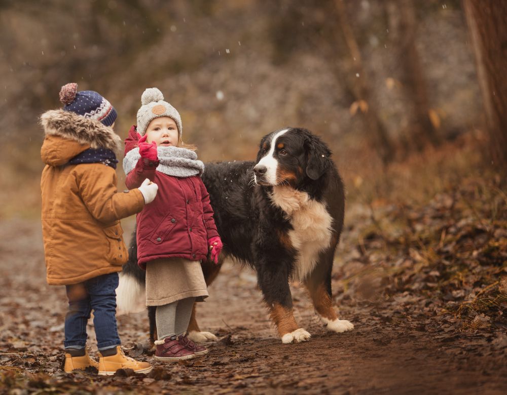 Случайное знакомство