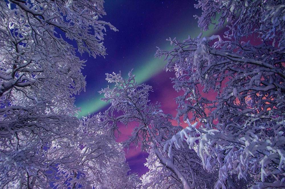 "Окно в сказку"