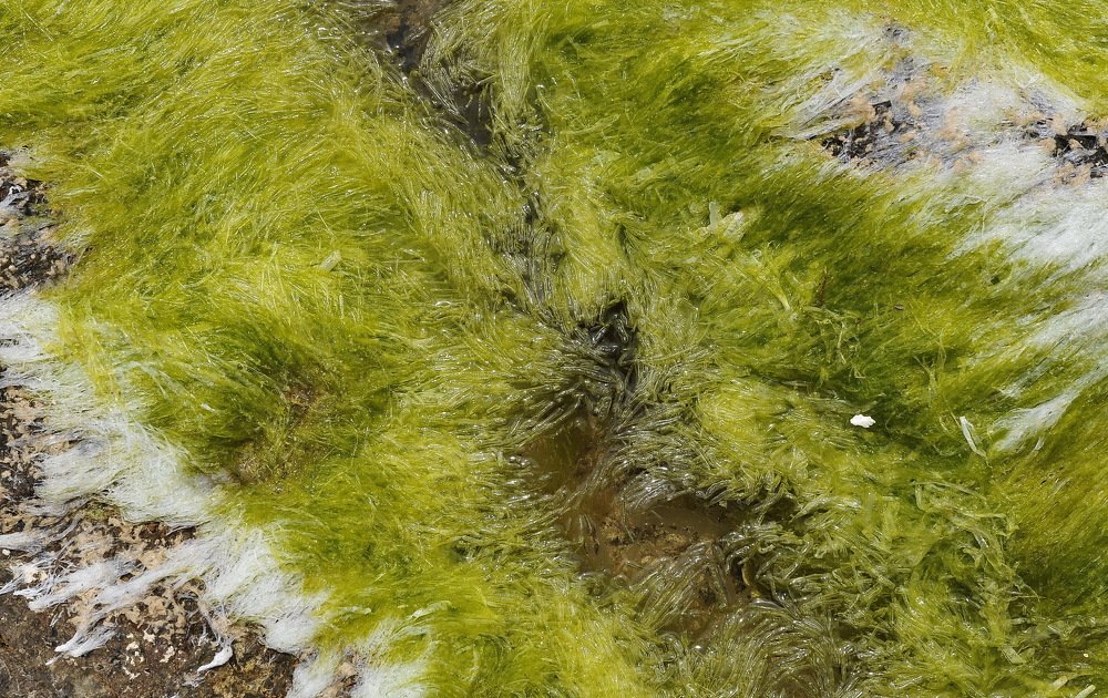 Ассоциации