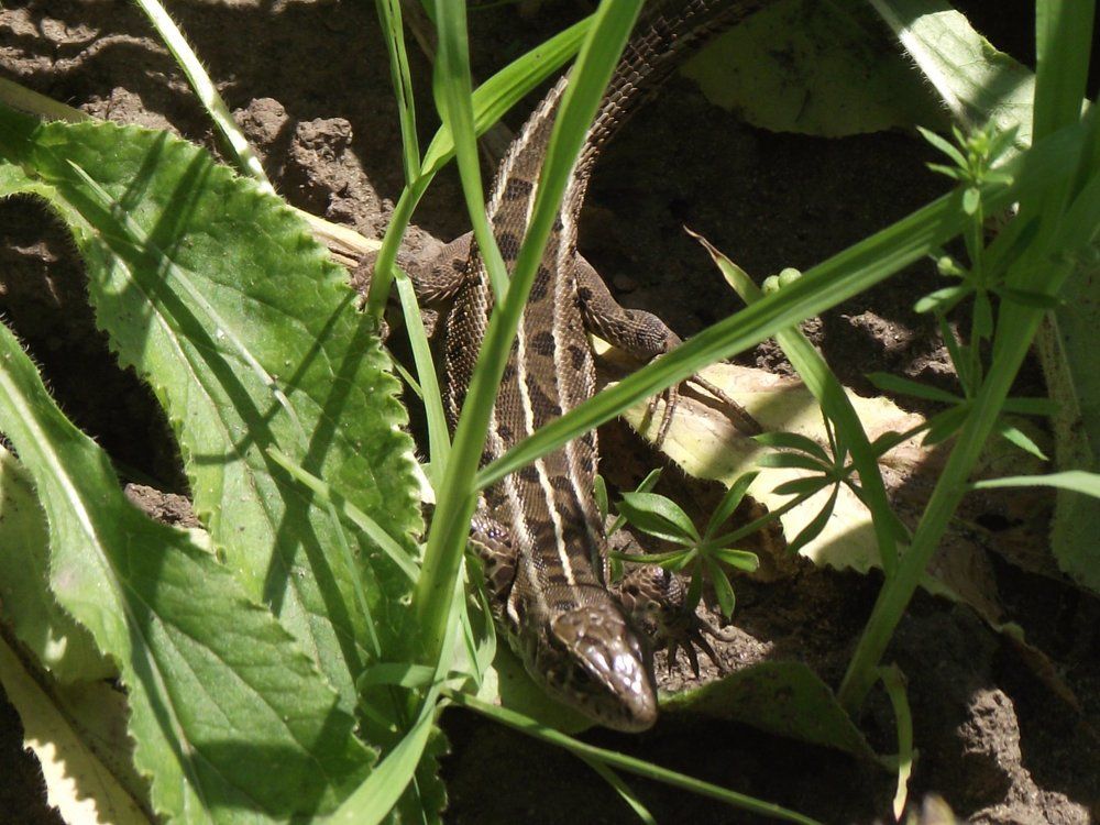 Photograph by Елена Стрельцова