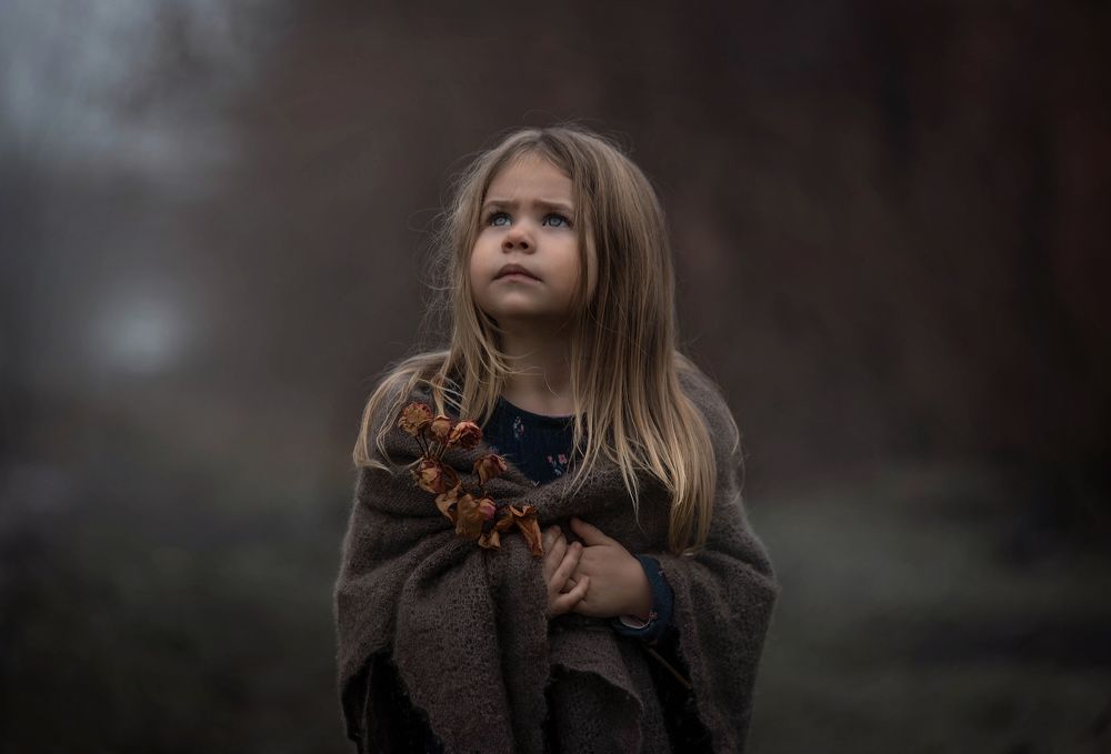 Предчувствие...