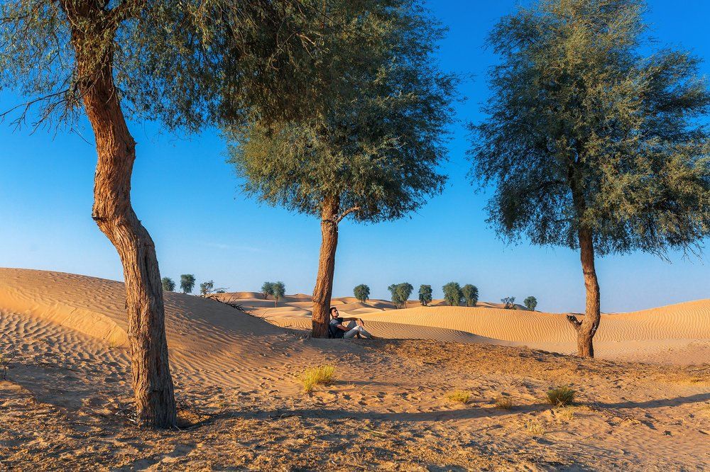 Отдых на обочине