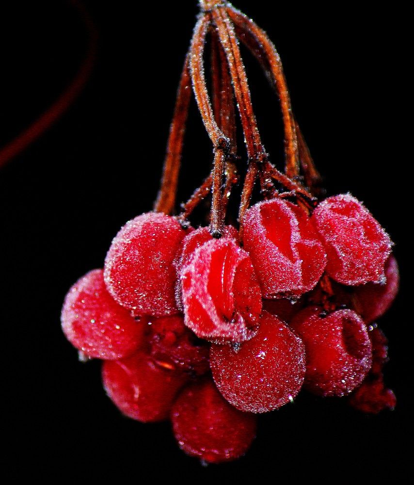 Photograph by Андрей Казанкин