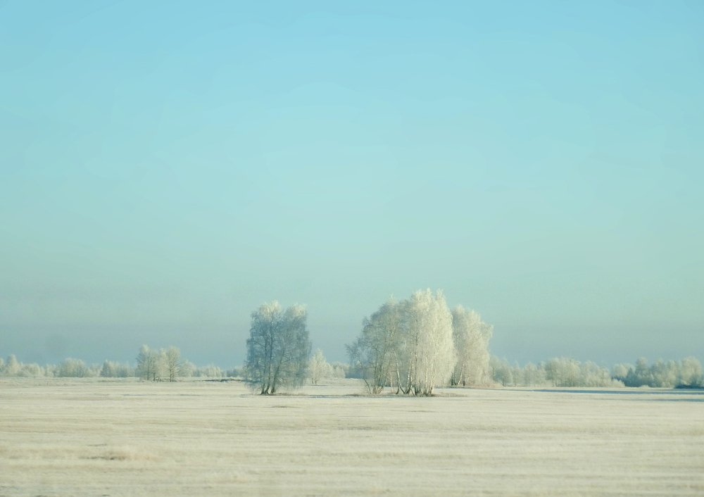 Белая тишина