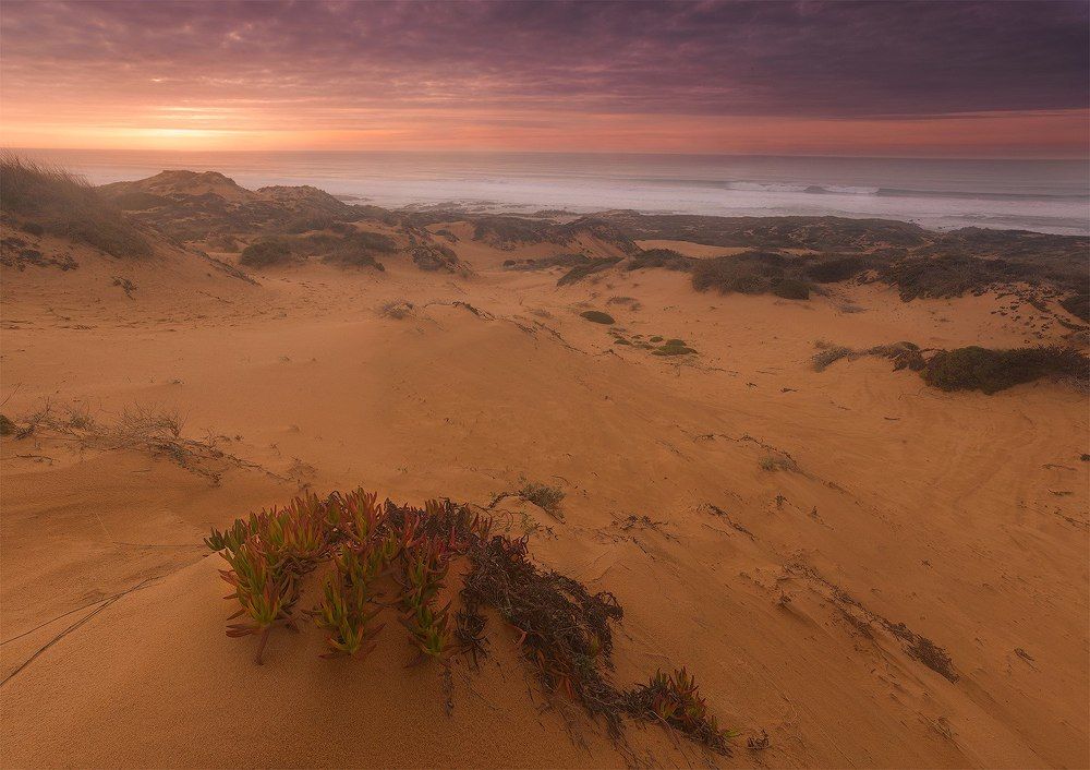 Вечер у океана