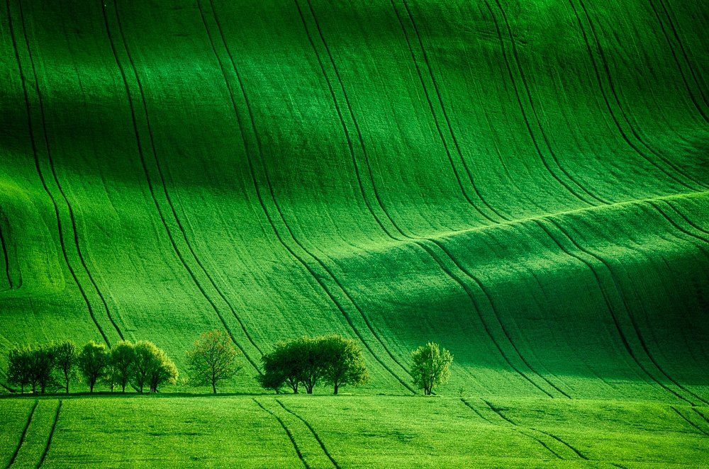 Southern Moravia classical landscape