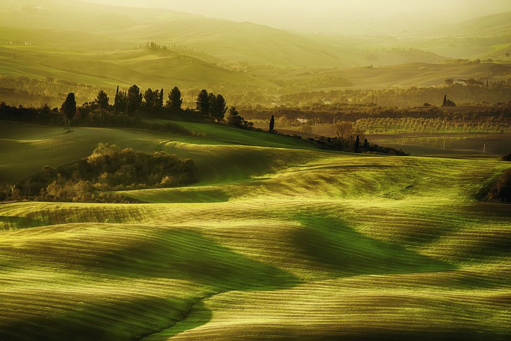 Tuscany hills