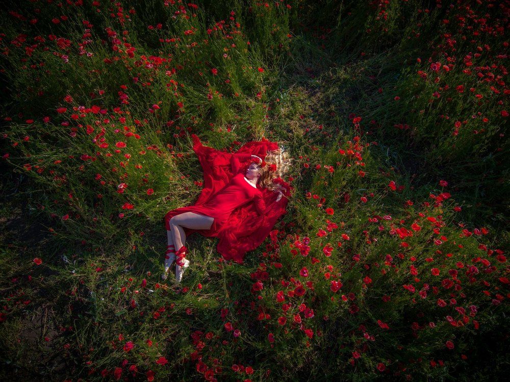 АЛЕНЬКИЙ ЦВЕТОЧЕК